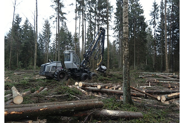 Miško pirkimas, medienos kirtimas, medienos pardavimas, miško ruošos darbai - MIŠKO RANGA