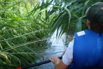 LIUTONIŲ BAIDARIŲ CENTRAS -  baidarių nuoma plaukimui Strėvos upe, apgyvendinimas Degučių kaimo turizmo sodyboje