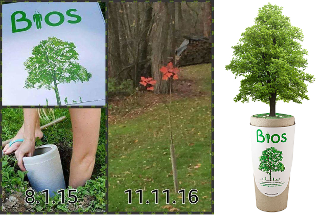 Tila LT, UAB SielosMedis™ - biologiška urna, kurioje laikomi mylimo žmogaus arba augintinio pelenai kartu su kapsule sėklai, iš kurios išaugs medis