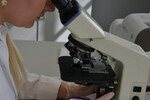 Medicina practica laboratorija, UAB - kraujo tyrimai, mikrobiologiniai tyrimai, genetiniai tyrimai, COVID-19 tyrimai, PGR tyrimai, antigenų testai