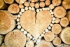 Lapuočių ir spygliuočių apvaliosios medienos gaminiai - LITPINUS