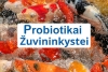 Probiotikai žuvininkystei – mikrobiologinis produktas žuvų sveikatos ir vandens kokybės gerinimui